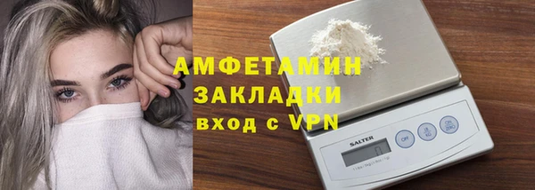 молекула духа Ельня