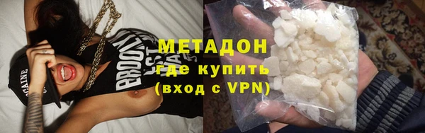 прущие грибы Елизово