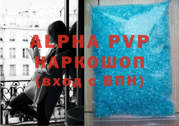 молекула духа Ельня