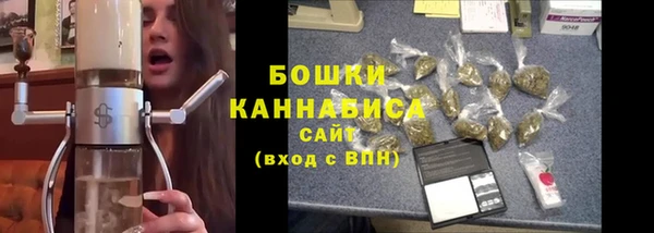 прущие грибы Елизово