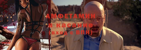 молекула духа Ельня