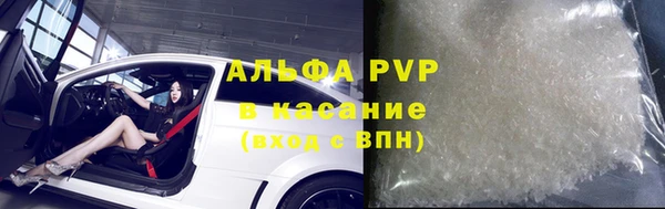 прущие грибы Елизово
