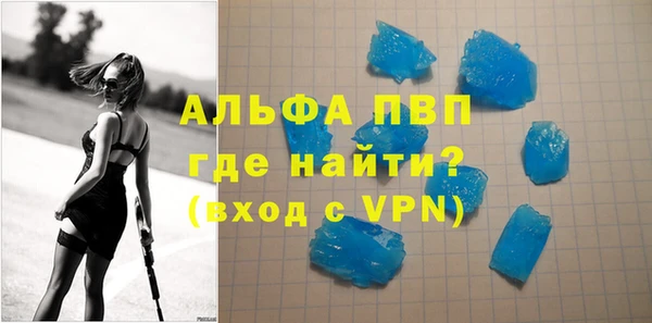 молекула духа Ельня