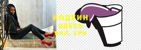 молекула духа Ельня
