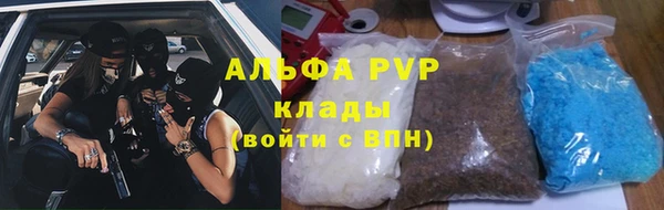 прущие грибы Елизово