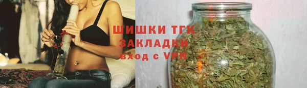 прущие грибы Елизово