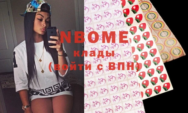 молекула духа Ельня