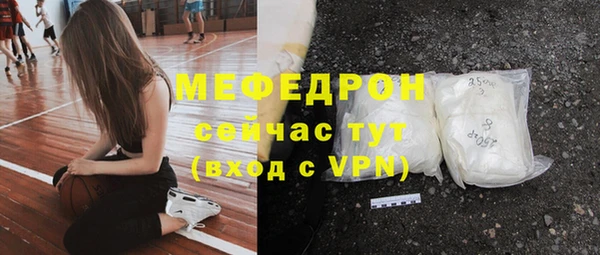 молекула духа Ельня