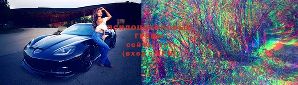 молекула духа Ельня