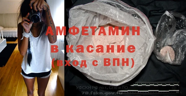 молекула духа Ельня