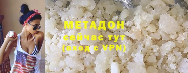 прущие грибы Елизово