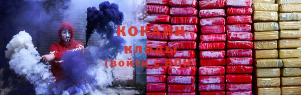 прущие грибы Елизово