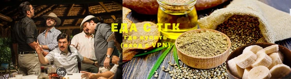 прущие грибы Елизово