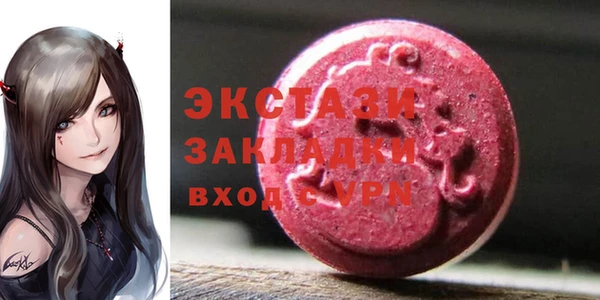 прущие грибы Елизово
