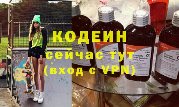 молекула духа Ельня