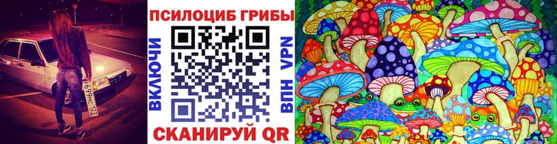 Галлюциногенные грибы мицелий Зуевка