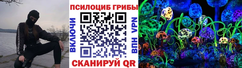 Купить где  Зуевка  Галлюциногенные грибы MAGIC MUSHROOMS 